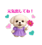 かわいいマルチーズの日常会話スタンプ3（個別スタンプ：33）