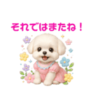 かわいいマルチーズの日常会話スタンプ3（個別スタンプ：39）