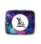無重力の犬Zero-Gravity Dog（個別スタンプ：1）
