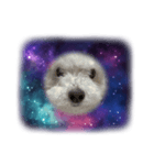 無重力の犬Zero-Gravity Dog（個別スタンプ：3）