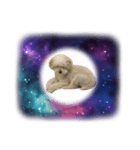 無重力の犬Zero-Gravity Dog（個別スタンプ：4）