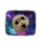 無重力の犬Zero-Gravity Dog（個別スタンプ：5）
