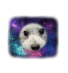 無重力の犬Zero-Gravity Dog（個別スタンプ：6）