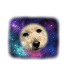 無重力の犬Zero-Gravity Dog（個別スタンプ：7）