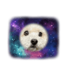 無重力の犬Zero-Gravity Dog（個別スタンプ：8）