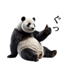 【無気力】パンダーク（個別スタンプ：1）