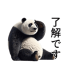 【無気力】パンダーク（個別スタンプ：2）