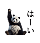 【無気力】パンダーク（個別スタンプ：4）