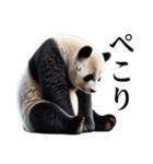 【無気力】パンダーク（個別スタンプ：5）