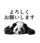 【無気力】パンダーク（個別スタンプ：6）