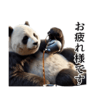 【無気力】パンダーク（個別スタンプ：8）