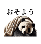 【無気力】パンダーク（個別スタンプ：9）