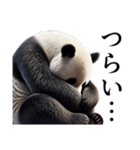 【無気力】パンダーク（個別スタンプ：16）