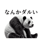 【無気力】パンダーク（個別スタンプ：19）