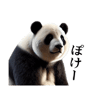【無気力】パンダーク（個別スタンプ：20）