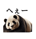 【無気力】パンダーク（個別スタンプ：23）