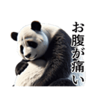 【無気力】パンダーク（個別スタンプ：26）