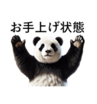【無気力】パンダーク（個別スタンプ：27）