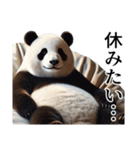 【無気力】パンダーク（個別スタンプ：31）