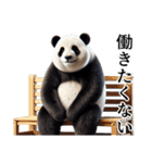【無気力】パンダーク（個別スタンプ：34）
