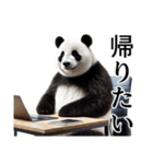 【無気力】パンダーク（個別スタンプ：35）