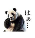【無気力】パンダーク（個別スタンプ：36）