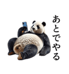 【無気力】パンダーク（個別スタンプ：39）