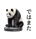 【無気力】パンダーク（個別スタンプ：40）