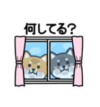 ちびしばワールド リアクション編3（個別スタンプ：6）