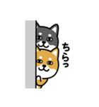 ちびしばワールド リアクション編3（個別スタンプ：25）
