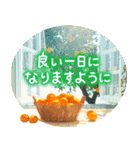 飛び出す♪オレンジの詰め合わせ（個別スタンプ：2）