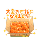 飛び出す♪オレンジの詰め合わせ（個別スタンプ：22）