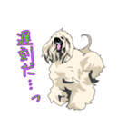 らりるれろはんこθ（個別スタンプ：13）