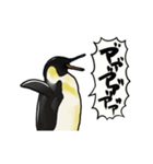 【動く】ふるえるペンギン（個別スタンプ：1）