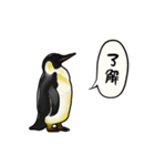 【動く】ふるえるペンギン（個別スタンプ：2）