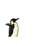 【動く】ふるえるペンギン（個別スタンプ：3）