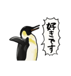 【動く】ふるえるペンギン（個別スタンプ：7）