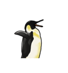 【動く】ふるえるペンギン（個別スタンプ：11）