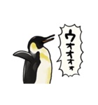 【動く】ふるえるペンギン（個別スタンプ：17）