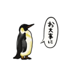 【動く】ふるえるペンギン（個別スタンプ：18）