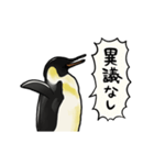 【動く】ふるえるペンギン（個別スタンプ：20）