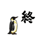 【動く】ふるえるペンギン（個別スタンプ：22）