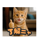 飛び出す★リアル猫にズームイン！（個別スタンプ：2）