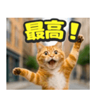飛び出す★リアル猫にズームイン！（個別スタンプ：3）