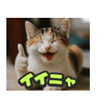 飛び出す★リアル猫にズームイン！（個別スタンプ：4）