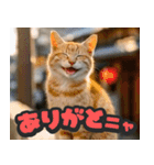 飛び出す★リアル猫にズームイン！（個別スタンプ：5）