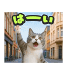 飛び出す★リアル猫にズームイン！（個別スタンプ：6）