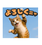 飛び出す★リアル猫にズームイン！（個別スタンプ：7）