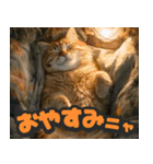 飛び出す★リアル猫にズームイン！（個別スタンプ：10）