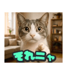 飛び出す★リアル猫にズームイン！（個別スタンプ：12）